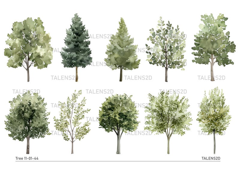 Tree Inclue Files Watercolor Trees Clipart | Painted Tree Clipart | PNG Graphics ...