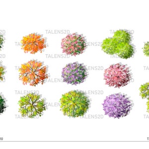 Vista dall'alto dell'albero, clipart del paesaggio 2D in PNG