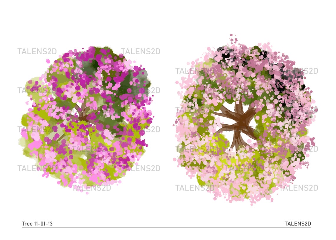 Tree Top View 2D Landscape Clipart in PNG - Etsy