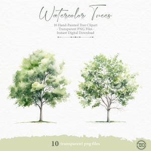 10 Watercolor Tree Elevation PNGs, Round Green Trees and Bush Clipart for Architecture Renders