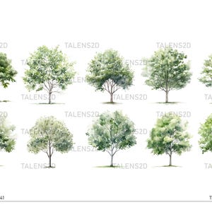 Aquarell Bäume Clipart | Gemalt Baum Clipart | PNG-Dateien | Sofort Download für kommerzielle Nutzung