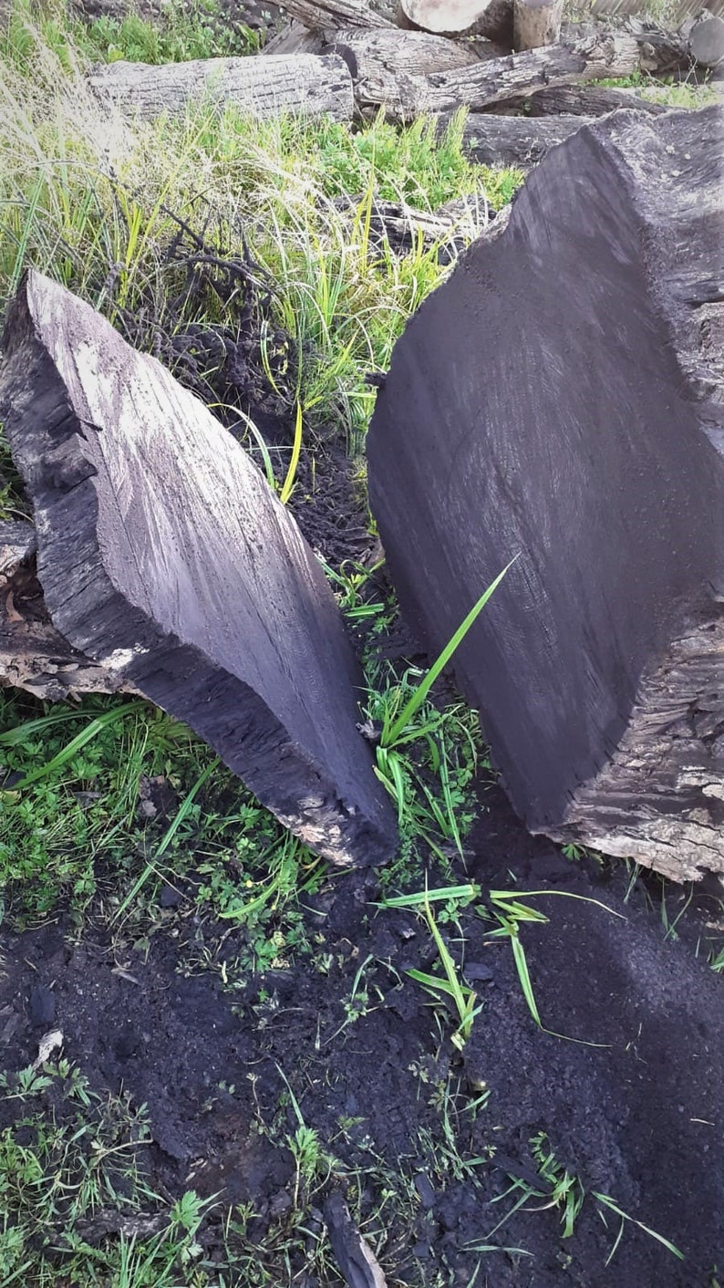Dekoracyjna taca na plastry czarne drawno dębowe torfowiskowe niepowtarzalny talerz starego drawna image 9
