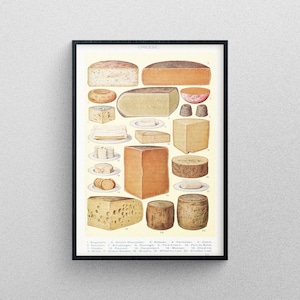 Different Cheeses vintage poster | Art Print Diagram chart exhibition quality