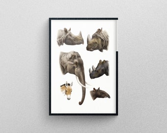 Vintage animal illustrations poster | Art Print Study of Animals.