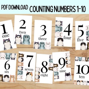 Number Flashcards for Kids, Printable Flashcards for Kids, Learn to Count 1-10, Number Flash Cards, Print at Home, Educational Activities