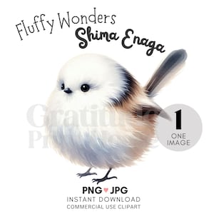Clipart oiseau fée des neiges | Oiseaux japonais | Shima Enaga | Clipart unique | Impression d'oiseau japonais | Cartes de voeux | Album | Art fantaisiste
