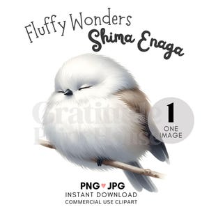 Clipart aquarelle mignon | Oiseaux japonais | Shima Enaga | Clipart unique | Impression d'oiseau japonais | Cartes de voeux | Album | Décoration de chambre d'enfant
