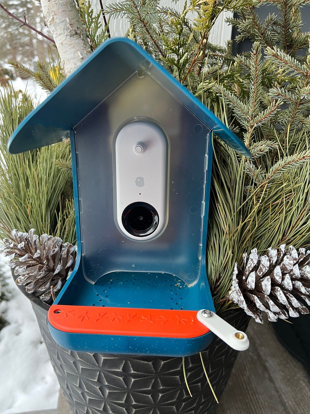 Bird Buddy White Suet Ball Extender Etsy