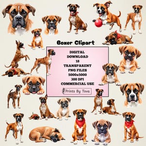 Boxer Dog Watercolor Clipart Bundle - Adorable Digital Art PNGs for Crafting Designs - Cute Boxer Breed,  Boxer Illustration, Commercial Use