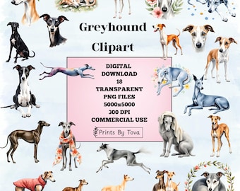 May include: A collection of 18 digital Greyhound clipart images in various poses and colors. The images include text that reads "Greyhound Clipart", "DIGITAL DOWNLOAD", and "Prints By Tova". The images are transparent PNG files.