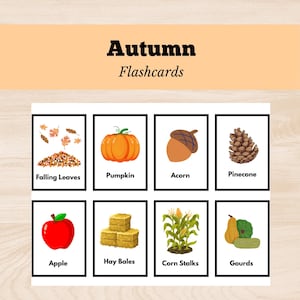 Preschool Flashcards Printable, Toddler Flashcards, Homeschool Printable, Preschool Printable, Montessori Materials, Kindergarten