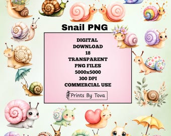 Watercolor Snail Clipart Collection, Cute PNG Illustrations (Digital Download)