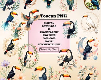 Toucan PNG Clipart, Tropical Bird Illustrations (Digital Download)