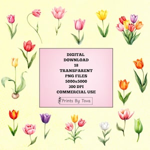 Tulip Clipart, Watercolor Flowers PNG, Spring Floral Arts, Digital Downloads, Printable Graphics, Crafting Projects, Supply, Commercial Use