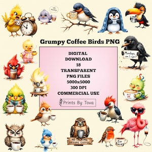 Grumpy Coffee Birds Clipart: Watercolor PNG Graphics (Commercial Use, Digital Download)