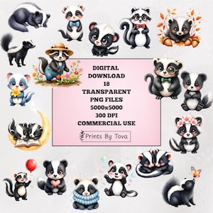 Peut inclure: Une collection de 18 fichiers PNG numériques présentant diverses illustrations à l'aquarelle d'adorables moufettes. Les moufettes sont représentées dans différentes poses et tenues, certaines tenant des fleurs ou des ballons. L'image comprend le texte "TÉLÉCHARGEMENT NUMÉRIQUE" et "UTILISATION COMMERCIALE".