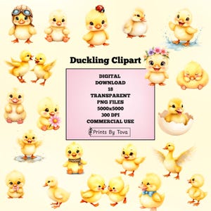 Adorable Watercolor Duckling, Clipart Set, Cute Baby Ducks,  PNGs for Digital Crafts - Scrapbooking - Birthday - Baby Shower, Commercial Use