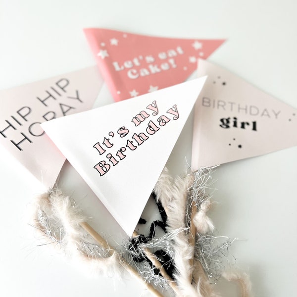 Birthday Pennant Flags | Printable Instant Download | Pink