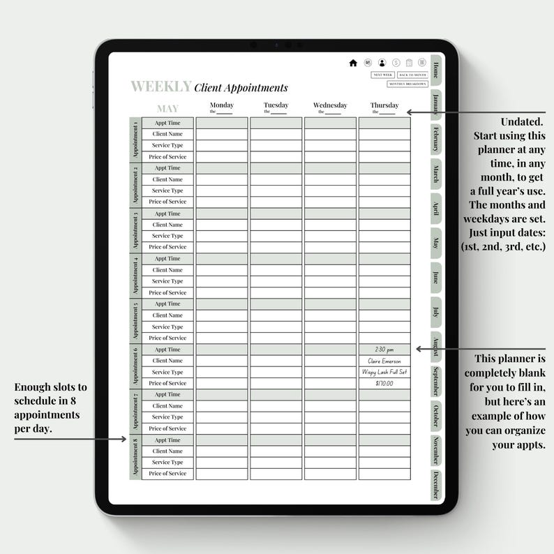 Digital Client Appointment & Finance Planner (ipad Business Planner) - Etsy