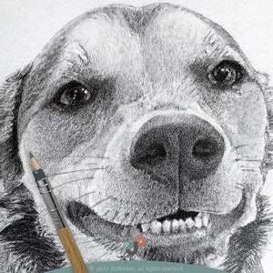 Custom Dog Memorial Drawing From Photo