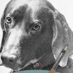 Custom Dog Memorial Drawing From Photo