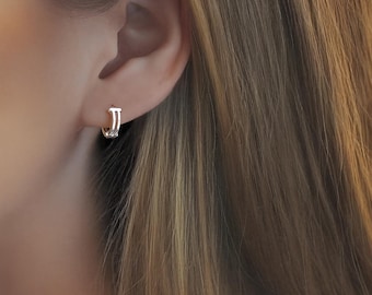 Solid Platinum Earrings Cartilage Earrings Laser Cut Pt950 Earrings Small Hoop Earrings for Women Earrings for Men Earrings for Unisex