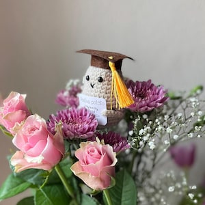 Patata positiva - Patata di laurea felice con cappello da diploma - Regalo unico per aver superato un esame - Regalo motivazionale
