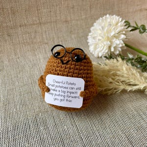 Patata positiva - patata felice con gli occhiali - il tuo portafortuna per il buon umore - idea regalo - regali speciali - compleanno