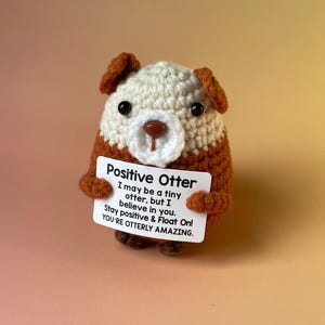 Lontra positiva - lontra positiva - il tuo portafortuna per il buon umore - idea regalo - regalo di compleanno - regali speciali