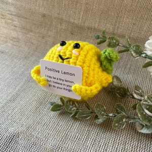 Limone positivo - Il tuo portafortuna per il buon umore - Idea regalo - Regalo di compleanno - Regali speciali con un messaggio positivo