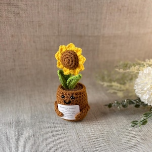 Planta de apoyo emocional - Emoticonos - Tu amuleto para el buen humor - Idea de regalo divertida - Regalo de cumpleaños - Regalos especiales