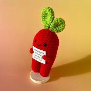 Positieve wortel - vrolijke wortel - biet - jouw geluksbrenger voor een goed humeur - cadeau-idee - speciale cadeaus voor je dierbaren