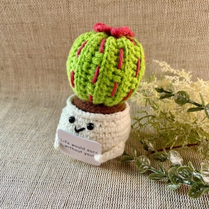Cactus di supporto emotivo - Smileys - Il tuo portafortuna per il buon umore - idea regalo divertente - regalo di compleanno - regali speciali