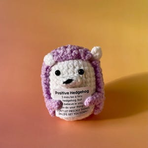 Hérisson positif - Votre porte-bonheur pour la bonne humeur - Idée cadeau - Cadeau d'anniversaire - Cadeaux spéciaux avec un message positif