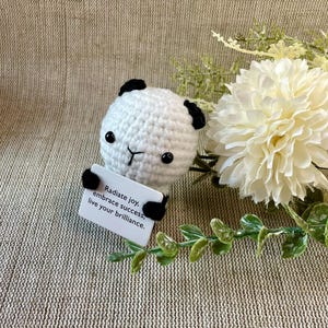 Positive Panda - Il tuo portafortuna per il buon umore - Idea regalo - Regalo di compleanno - Regali speciali