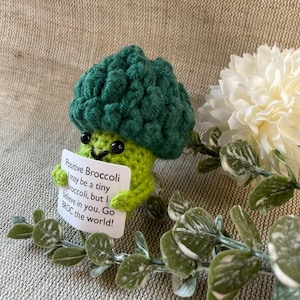 Brócoli positivo - brócoli feliz - tu amuleto de la suerte para el buen humor - idea de regalo divertida - regalo de cumpleaños - regalos especiales