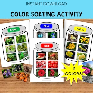 Farbsortierung Aktivität: Vorschul-Lernen Printable (PDF)