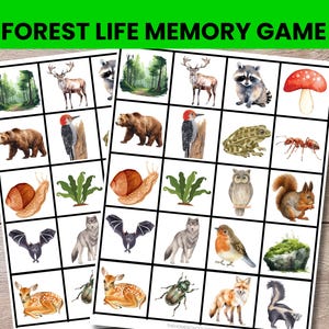 Peut inclure: Un jeu de mémoire Forest Life composé de deux feuilles de papier blanc avec une grille d'illustrations à l'aquarelle. Les images représentent divers animaux de la forêt, insectes, plantes et champignons, dont un cerf, un ours, un raton laveur et un renard.