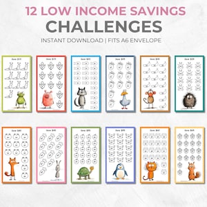 Low Income Savings Challenge Printable: A6 Money Tracker (PDF)