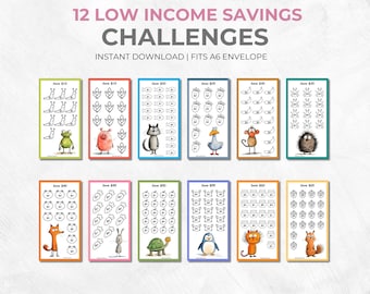 Low Income Savings Challenge Printable: A6 Money Tracker (PDF)