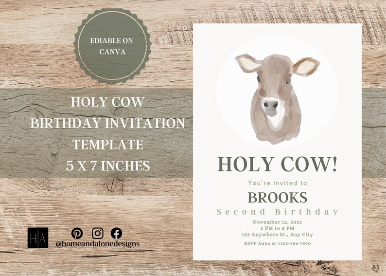 Birthday Invitation Template Digital Template Digital Etsy