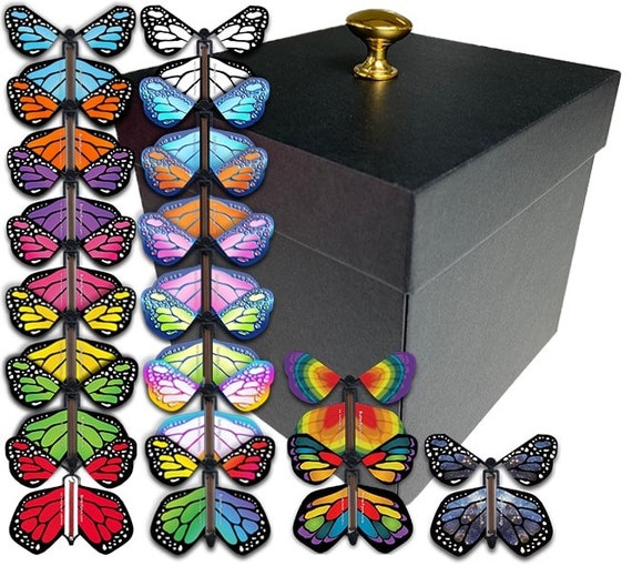 Caja de mariposas negras que explotan con mariposas voladoras monarca -   España