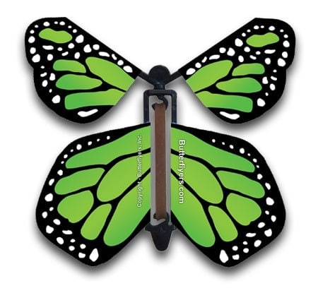 BUTTERFLYERS Caja de mariposa explosiva negra con mariposas voladoras  monarca 4 mariposas voladoras monarca morada – Yaxa Store