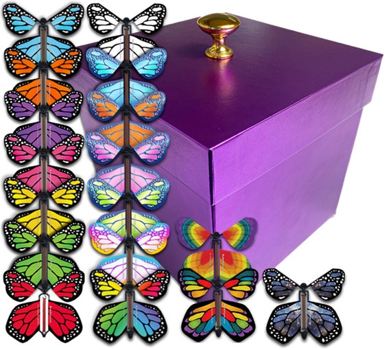 Caja de mariposas púrpura que explota con mariposas voladoras monarca -   México