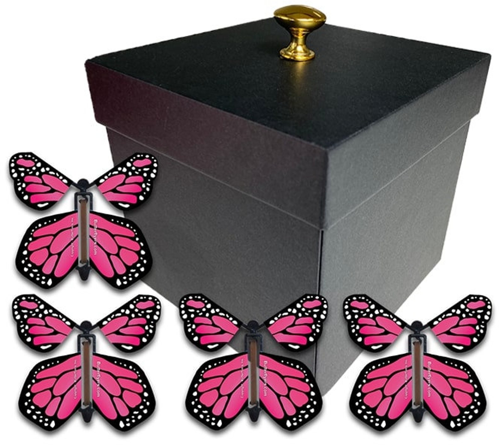Black Exploding Butterfly Box With Gender Reveal Flying Butterflies - Etsy