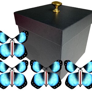 Black Exploding Butterfly Box With Gender Reveal Flying Butterflies - Etsy