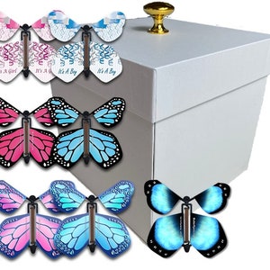 Gender Reveal White Exploding Gift Box With Flying Butterflies