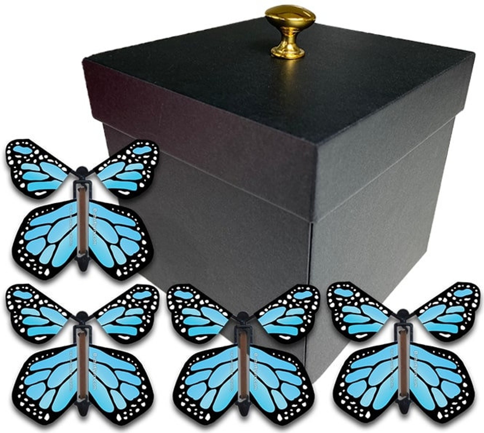 Black Exploding Butterfly Box With Gender Reveal Flying Butterflies - Etsy