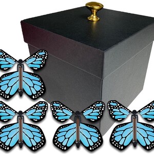 Black Exploding Butterfly Box With Gender Reveal Flying Butterflies - Etsy