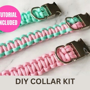 Op de afbeelding: DIY hondenhalsbandset met turquoise en roze paracord en zilveren gespen. Handleiding inbegrepen.